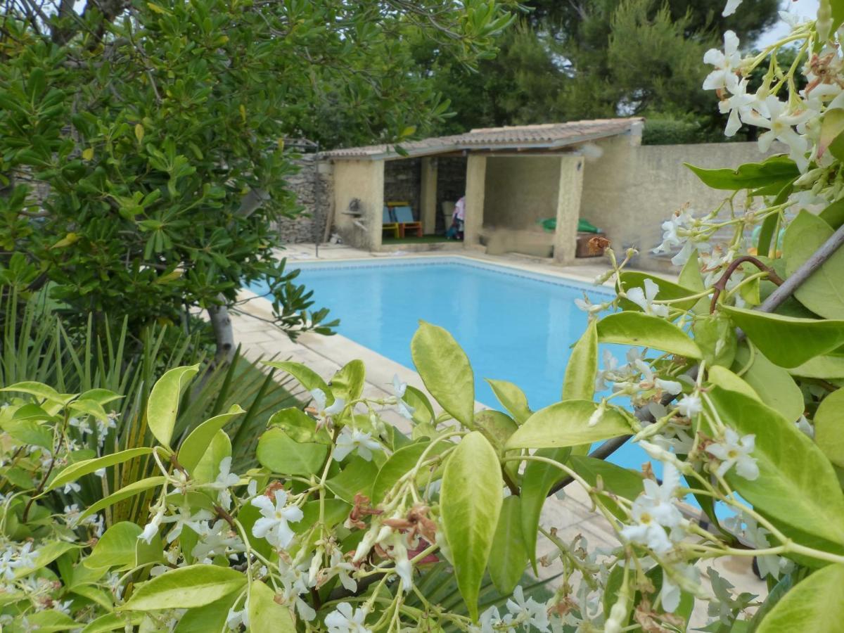 La Quietude De St Antoine - Piscine Privee Villa LʼIsle-sur-la-Sorgue Eksteriør billede